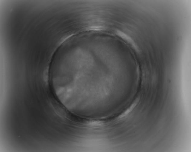 X0000088191170200705292006