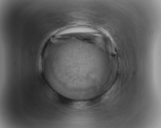 X0000088191171200705292006