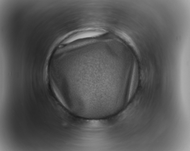 X0000088191172200705292006