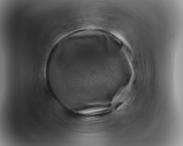 X0000088191173200705292006