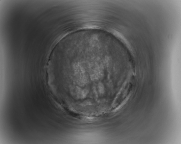 X0000088191177200705292006