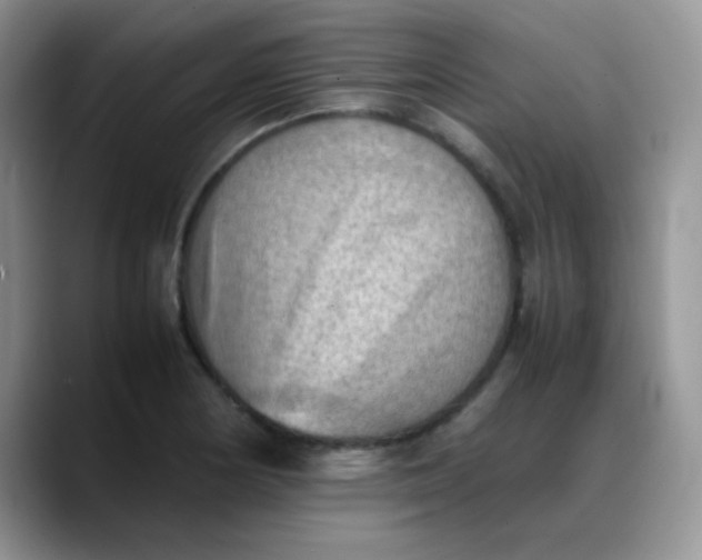 X0000088191178200705292006