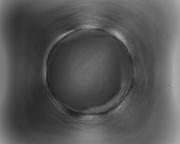 X0000088191179200705292006