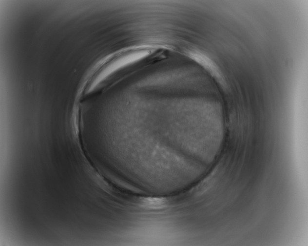X0000088191180200705292006
