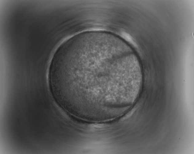 X0000088191181200705292006