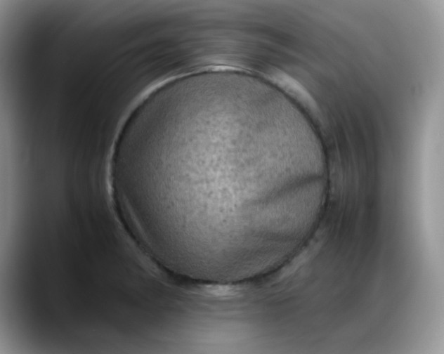 X0000088191182200705292006