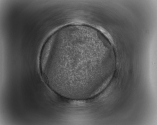 X0000088191183200705292006