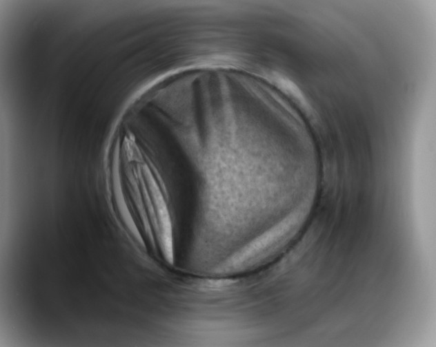 X0000088191184200705292006