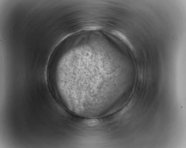 X0000088191186200705292006