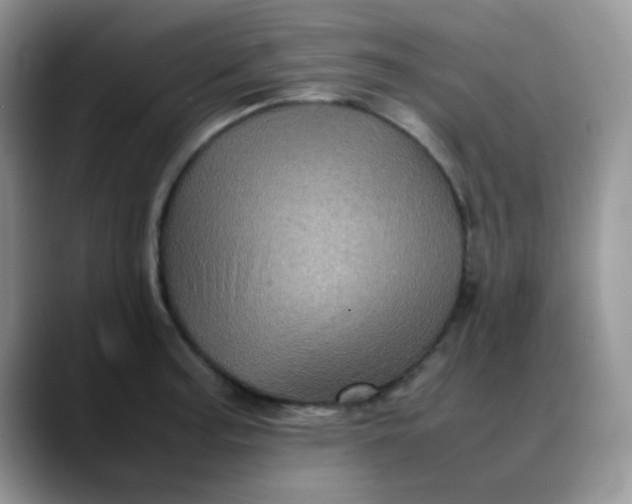 X0000088191187200705292006