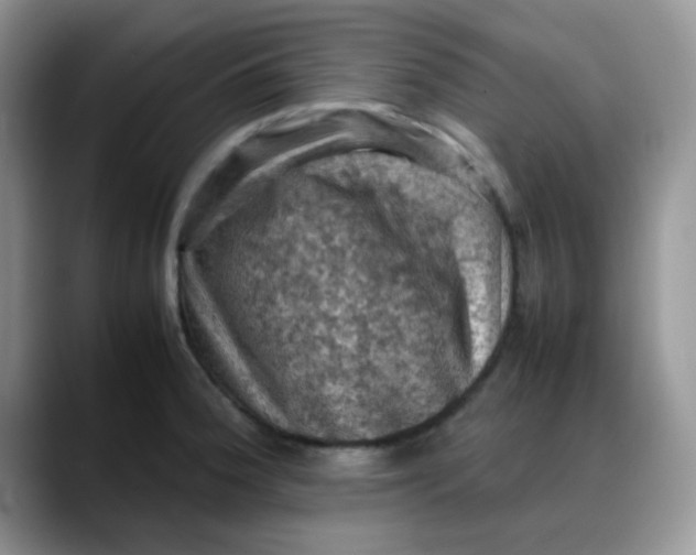 X0000088191188200705292006