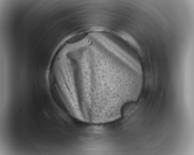 X0000088191190200705292006