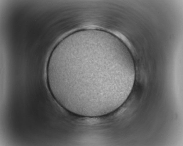 X0000088191191200705292006