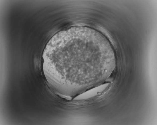 X0000088191193200705292006