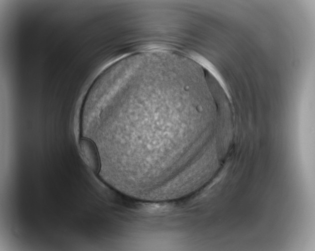 X0000088191195200705292006