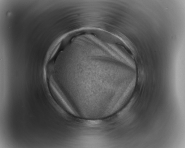 X0000088191196200705292006