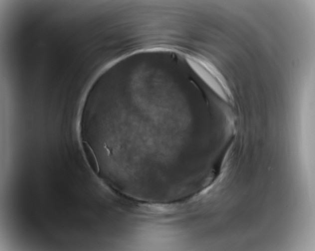 X0000088191197200705292006