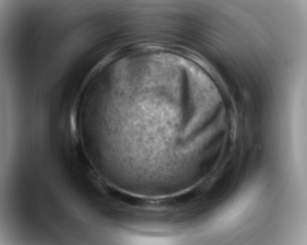 X0000088191198200705292006
