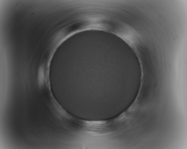 X0000088191200200705292006