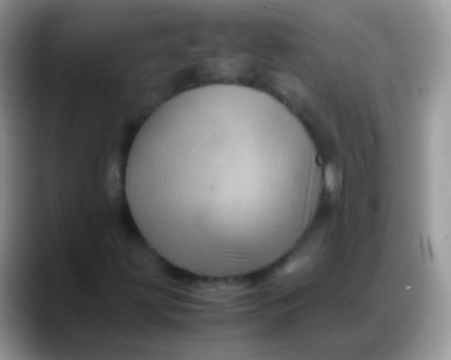 X0000088191203200705292005