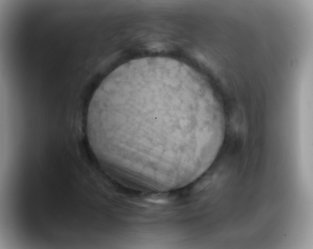 X0000088191205200705292005