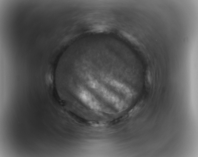 X0000088191206200705292005