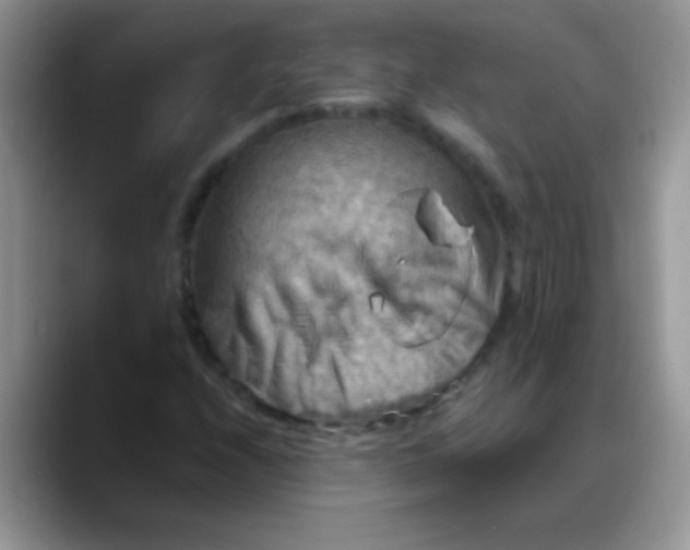 X0000088191208200705292005