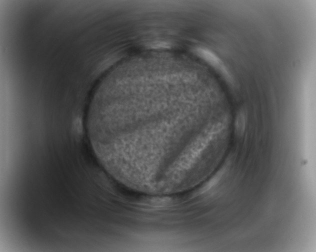 X0000088191209200705292005