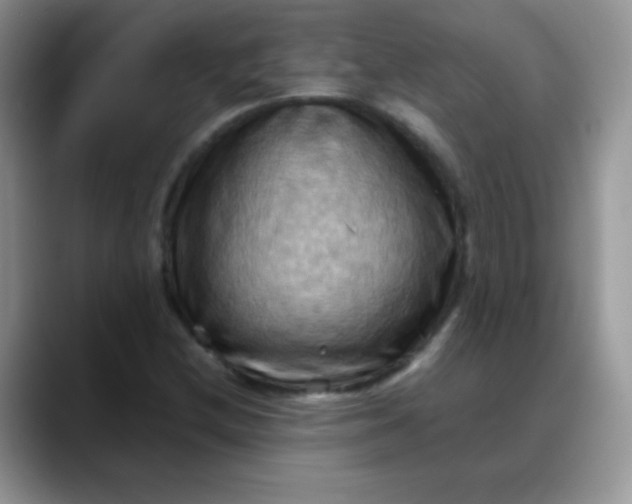 X0000088191212200705292005