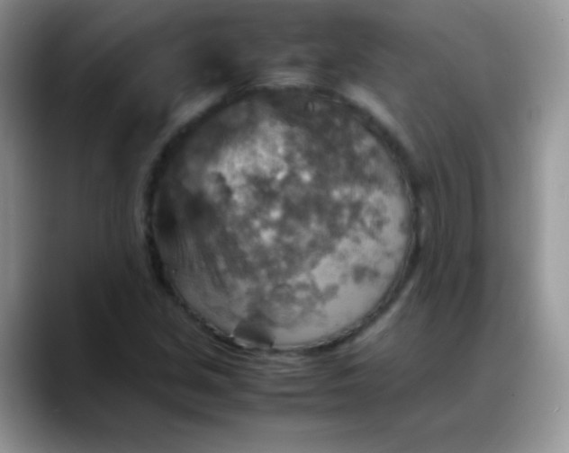 X0000088191213200705292005