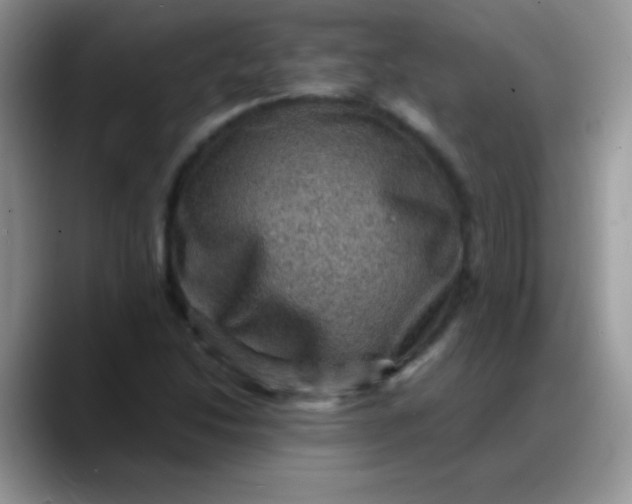 X0000088191214200705292005