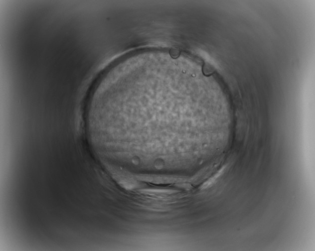 X0000088191215200705292005