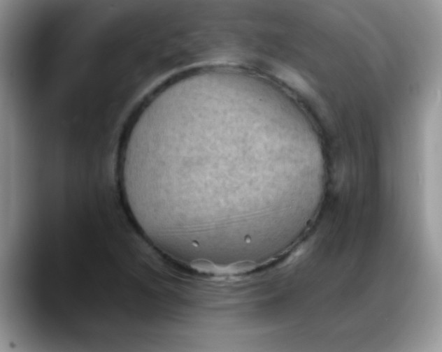 X0000088191216200705292005