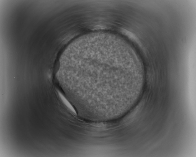X0000088191217200705292005
