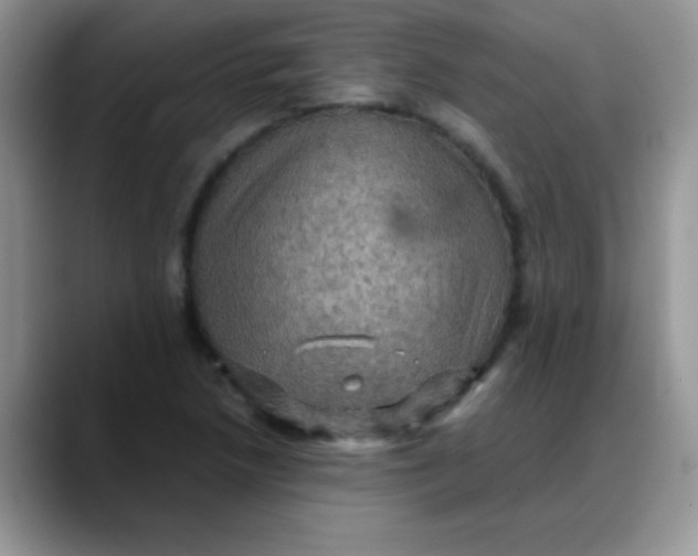 X0000088191218200705292005
