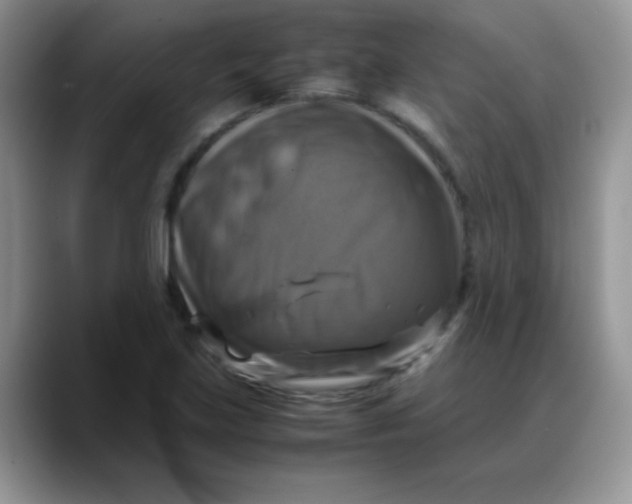 X0000088191219200705292005