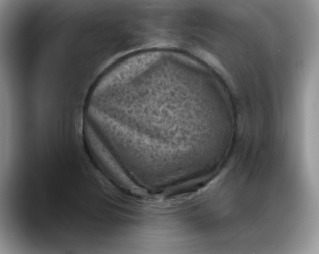 X0000088191220200705292005