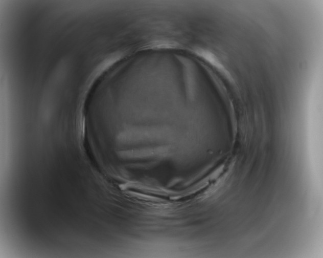 X0000088191221200705292005