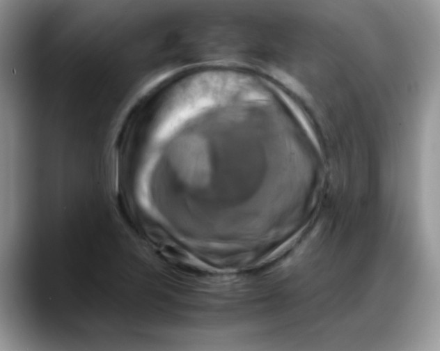 X0000088191223200705292005