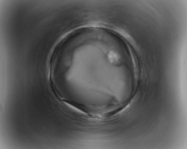 X0000088191224200705292005