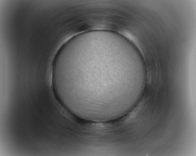 X0000088191227200705292005
