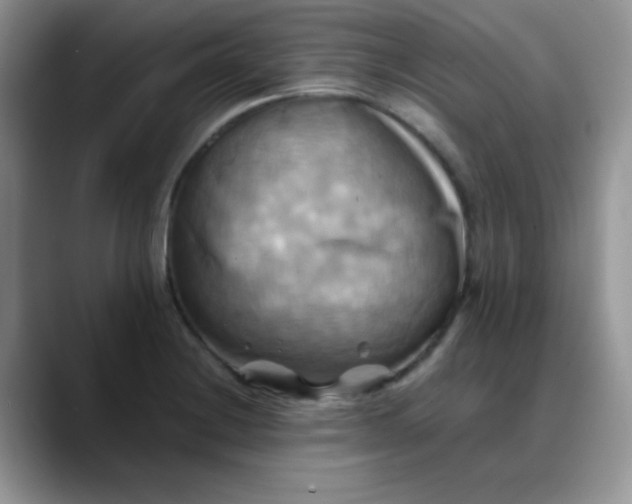 X0000088191228200705292005