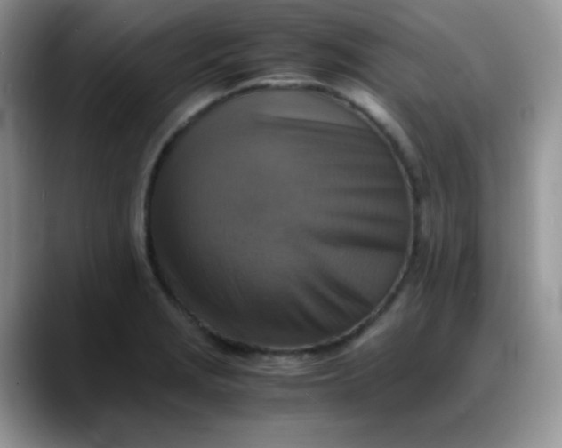 X0000088191229200705292005
