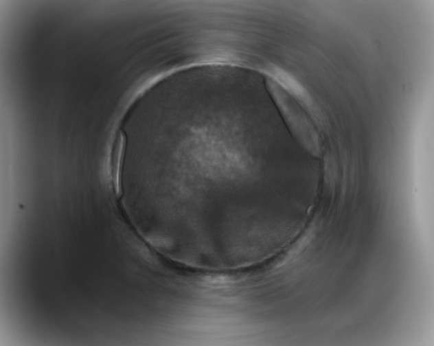 X0000088191230200705292005