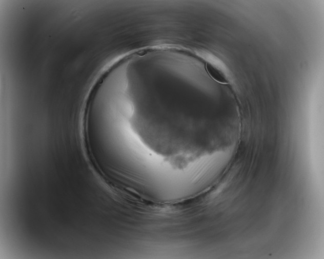 X0000088191231200705292005