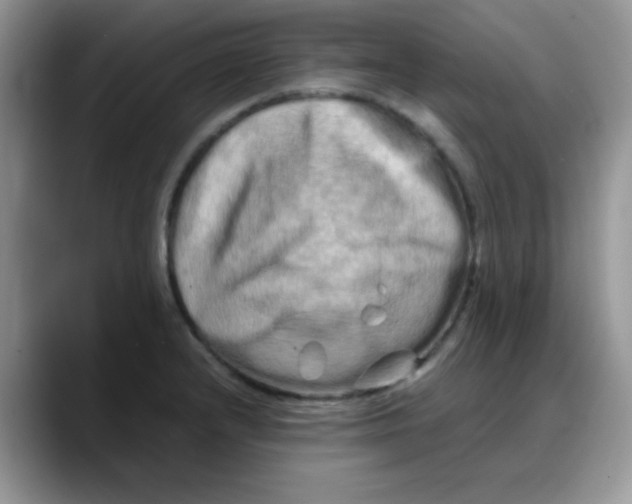 X0000088191232200705292005
