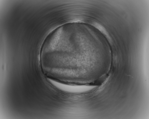 X0000088191234200705292005