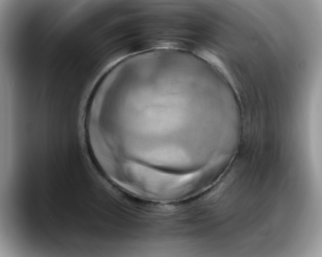 X0000088191235200705292005