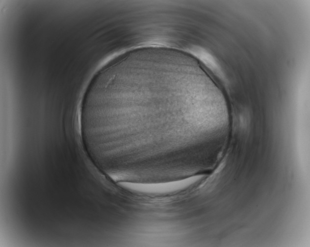 X0000088191238200705292005