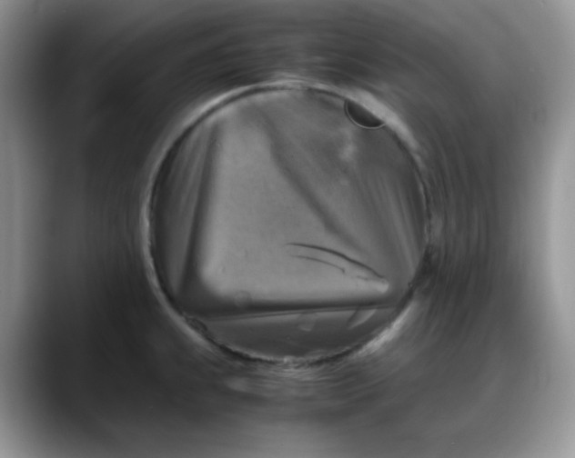 X0000088191239200705292005